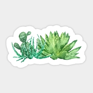green succulent arrangement watercolor Sticker